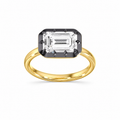 Obsidian Georgian East-West Emerald Cut Ring